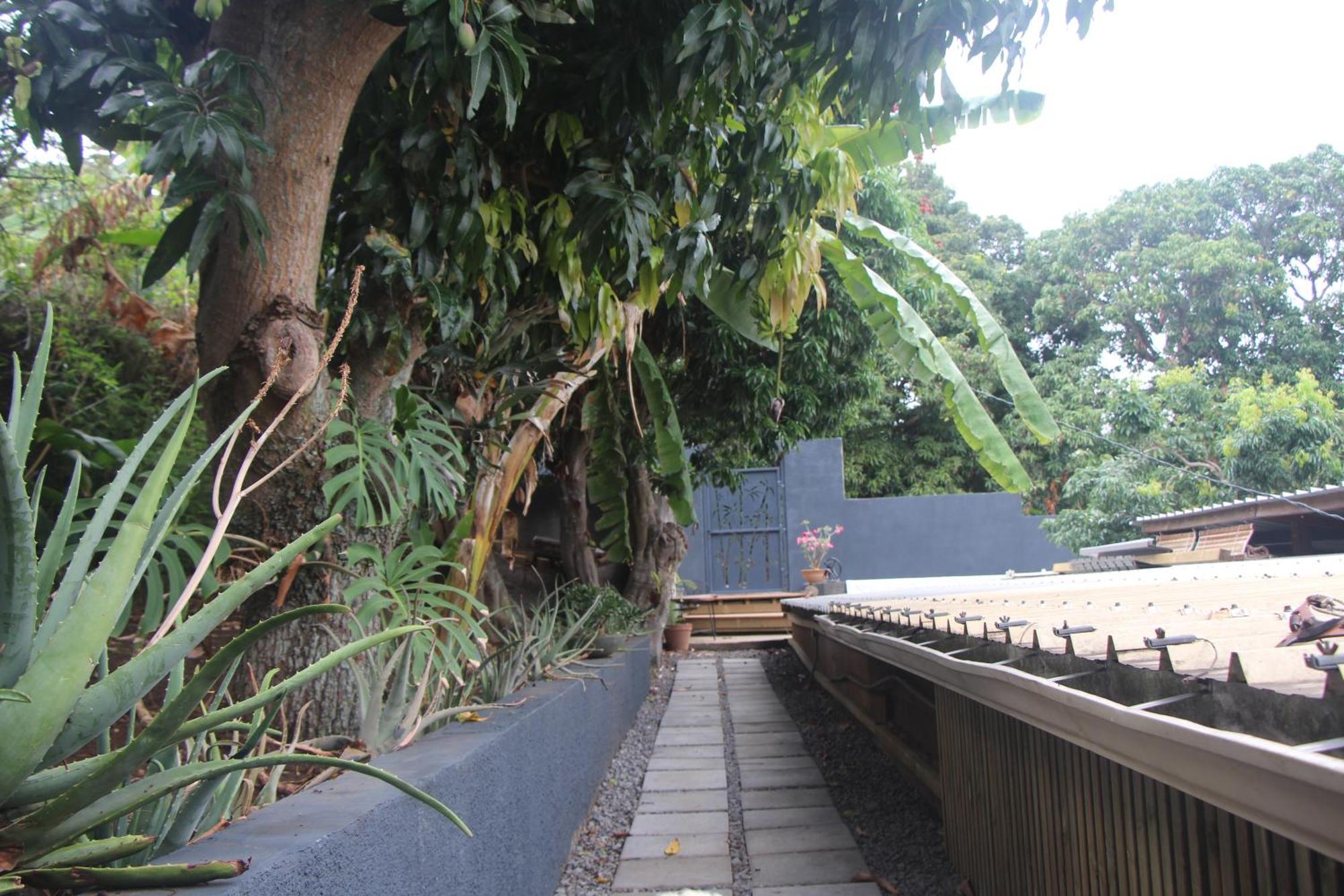 La Liane De Jade 974-Lodge Le Palissandre - Jacuzzi Privatif - Piscine Chauffee Le Bois de Nefles  ภายนอก รูปภาพ